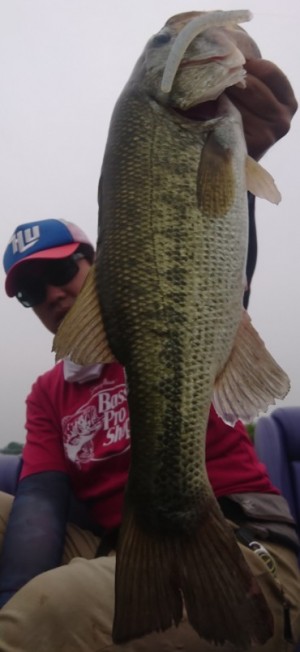 hideup 久次米良信 ブログ写真 2019/06/03