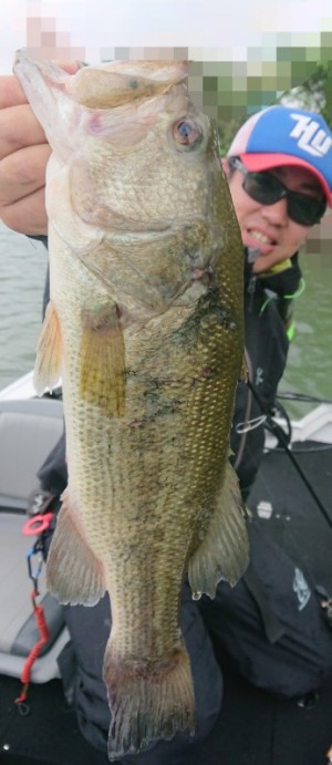 hideup 久次米良信 ブログ写真 2019/06/03