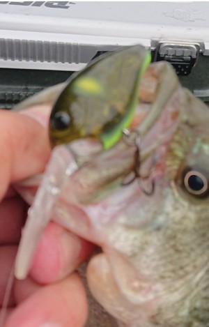 hideup 久次米良信 ブログ写真 2019/06/03