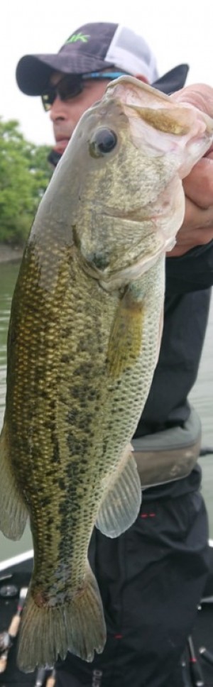 hideup 久次米良信 ブログ写真 2019/06/03