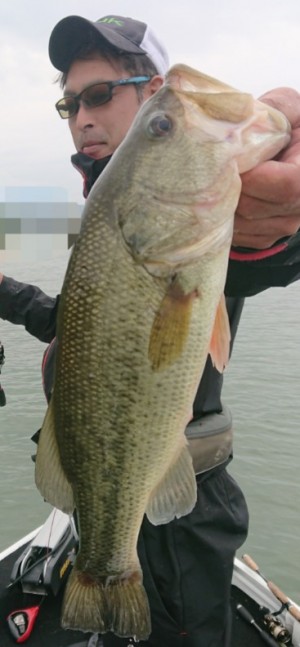 hideup 久次米良信 ブログ写真 2019/06/03