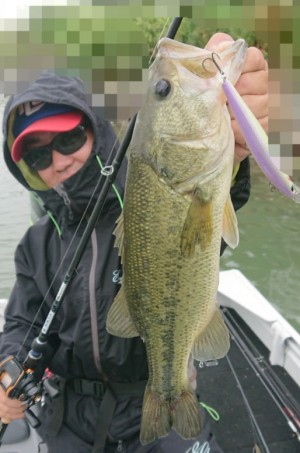 hideup 久次米良信 ブログ写真 2019/06/03