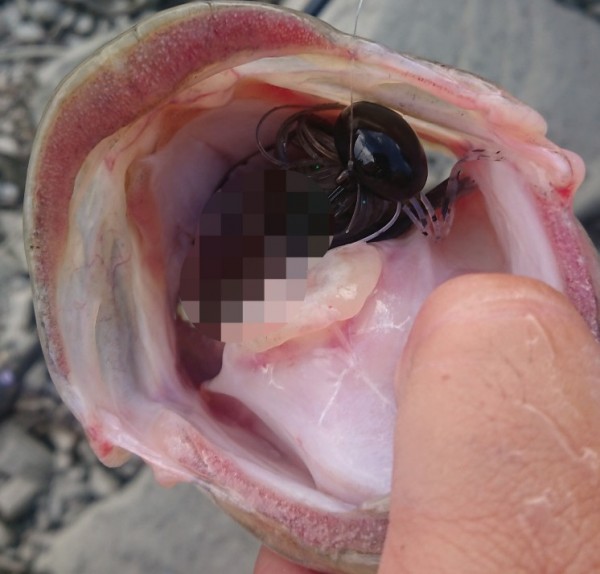 hideup 久次米良信 ブログ写真 2019/06/04