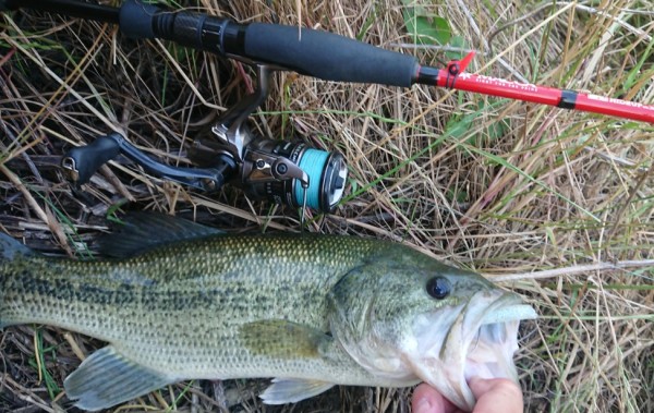 hideup 久次米良信 ブログ写真 2019/06/07