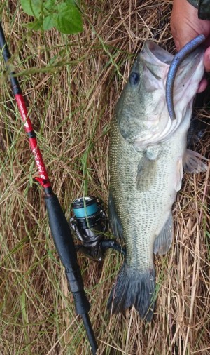 hideup 久次米良信 ブログ写真 2019/06/12