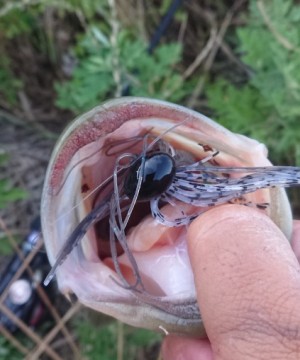 hideup 久次米良信 ブログ写真 2019/06/13