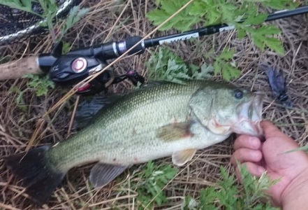 hideup 久次米良信 ブログ写真 2019/06/13