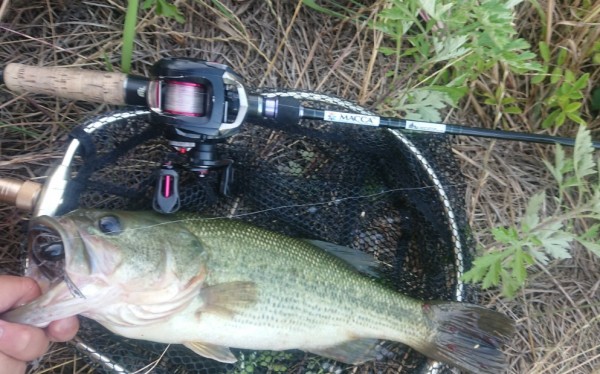 hideup 久次米良信 ブログ写真 2019/06/15