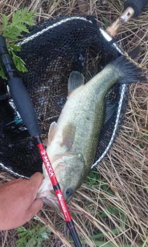 hideup 久次米良信 ブログ写真 2019/06/15