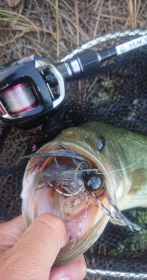 hideup 久次米良信 ブログ写真 2019/06/15