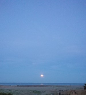 hideup 久次米良信 ブログ写真 2019/06/18