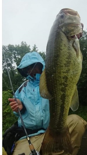 hideup 久次米良信 ブログ写真 2019/06/19