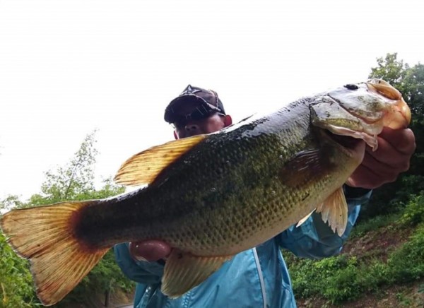 hideup 久次米良信 ブログ写真 2019/06/19