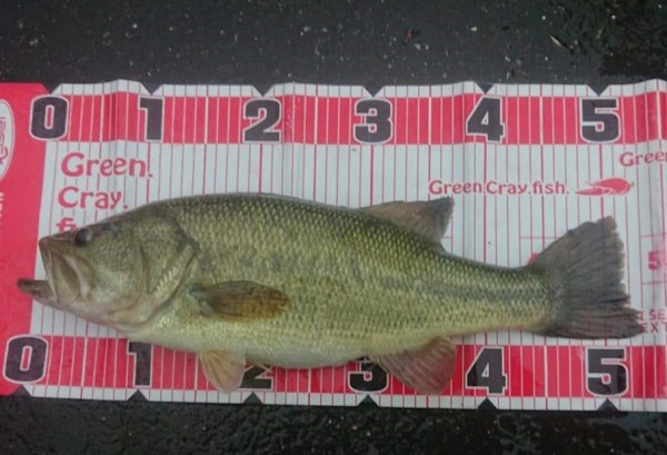 hideup 久次米良信 ブログ写真 2019/06/19