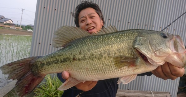 hideup 久次米良信 ブログ写真 2019/06/20