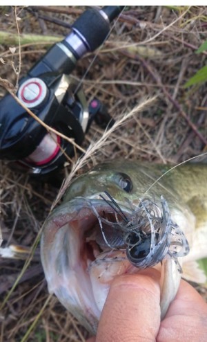 hideup 久次米良信 ブログ写真 2019/06/20