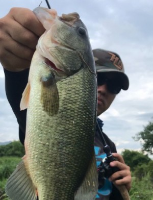 hideup 久次米良信 ブログ写真 2019/07/01