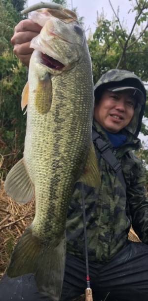 hideup 久次米良信 ブログ写真 2019/07/01