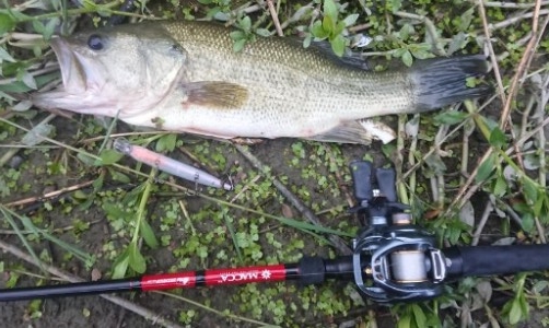 hideup 久次米良信 ブログ写真 2019/07/03