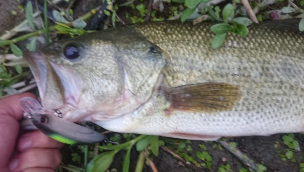 hideup 久次米良信 ブログ写真 2019/07/03