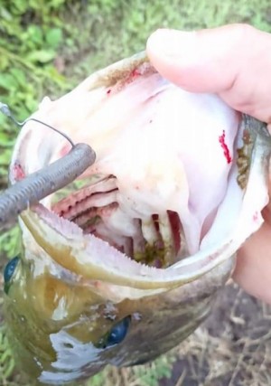 hideup 久次米良信 ブログ写真 2019/07/04