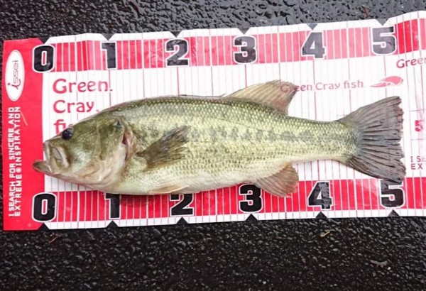 hideup 久次米良信 ブログ写真 2019/07/04