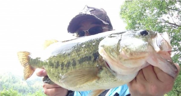 hideup 久次米良信 ブログ写真 2019/07/04