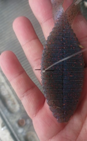 hideup 久次米良信 ブログ写真 2019/07/13