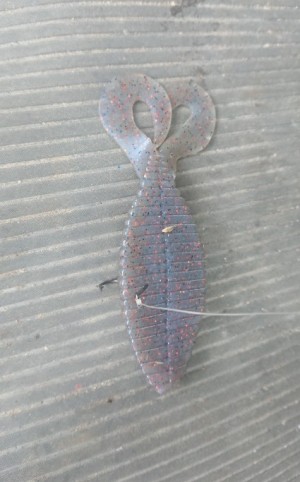 hideup 久次米良信 ブログ写真 2019/07/13