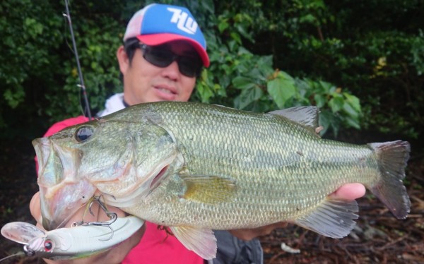 hideup 久次米良信 ブログ写真 2019/07/16