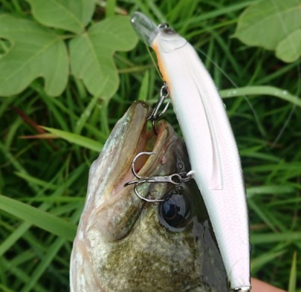 hideup 久次米良信 ブログ写真 2019/07/17