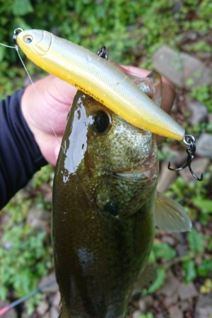 hideup 久次米良信 ブログ写真 2019/07/20