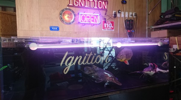 hideup 久次米良信 ブログ写真 2019/08/02