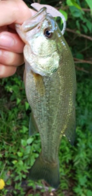 hideup 久次米良信 ブログ写真 2019/08/09