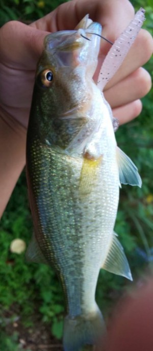 hideup 久次米良信 ブログ写真 2019/08/09