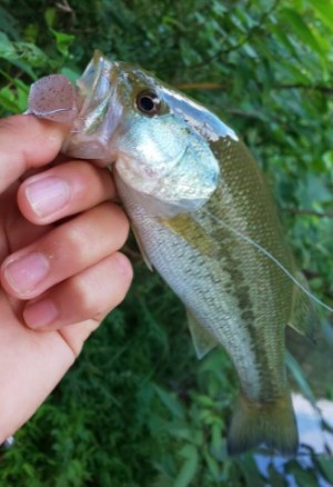 hideup 久次米良信 ブログ写真 2019/08/09