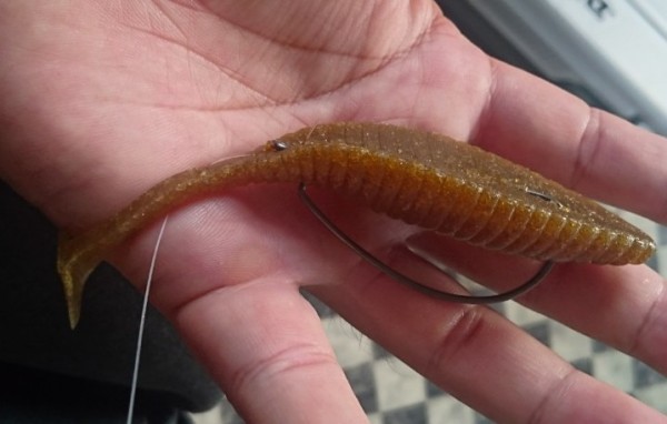 hideup 久次米良信 ブログ写真 2019/08/10