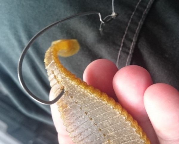 hideup 久次米良信 ブログ写真 2019/08/10