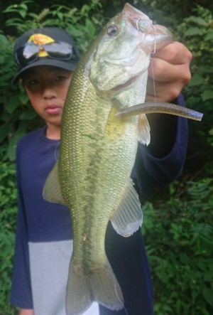 hideup 久次米良信 ブログ写真 2019/08/11