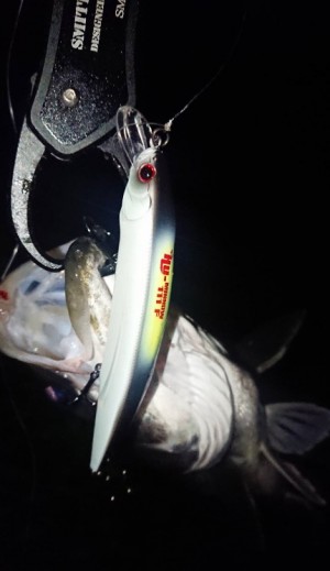 hideup 久次米良信 ブログ写真 2019/09/04