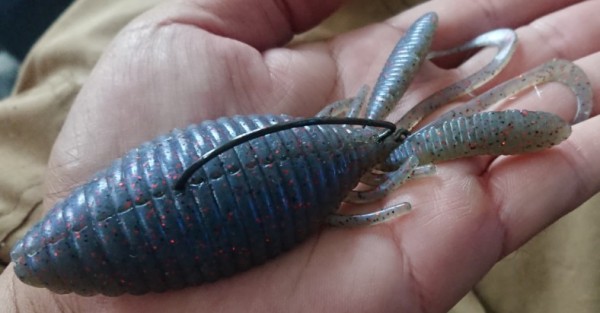 hideup 久次米良信 ブログ写真 2019/09/09