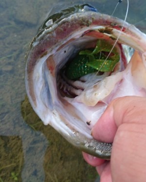 hideup 久次米良信 ブログ写真 2019/09/10