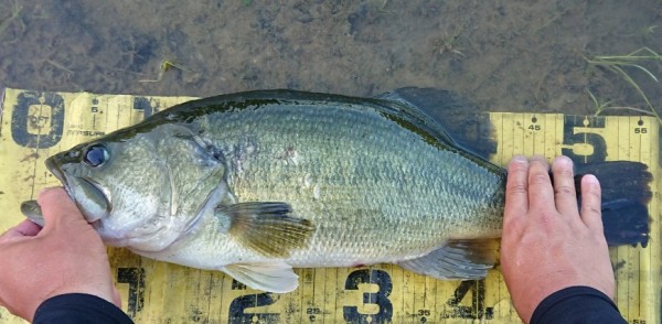 hideup 久次米良信 ブログ写真 2019/09/10