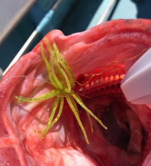 hideup 久次米良信 ブログ写真 2019/09/12