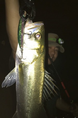 hideup 久次米良信 ブログ写真 2019/09/13