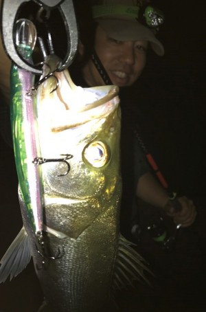 hideup 久次米良信 ブログ写真 2019/09/13