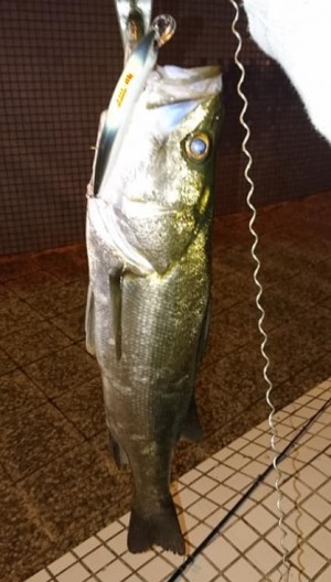 hideup 久次米良信 ブログ写真 2019/09/14