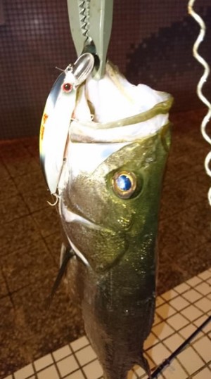 hideup 久次米良信 ブログ写真 2019/09/14