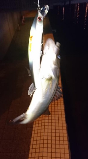 hideup 久次米良信 ブログ写真 2019/09/14