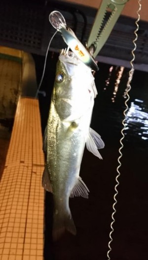 hideup 久次米良信 ブログ写真 2019/09/14